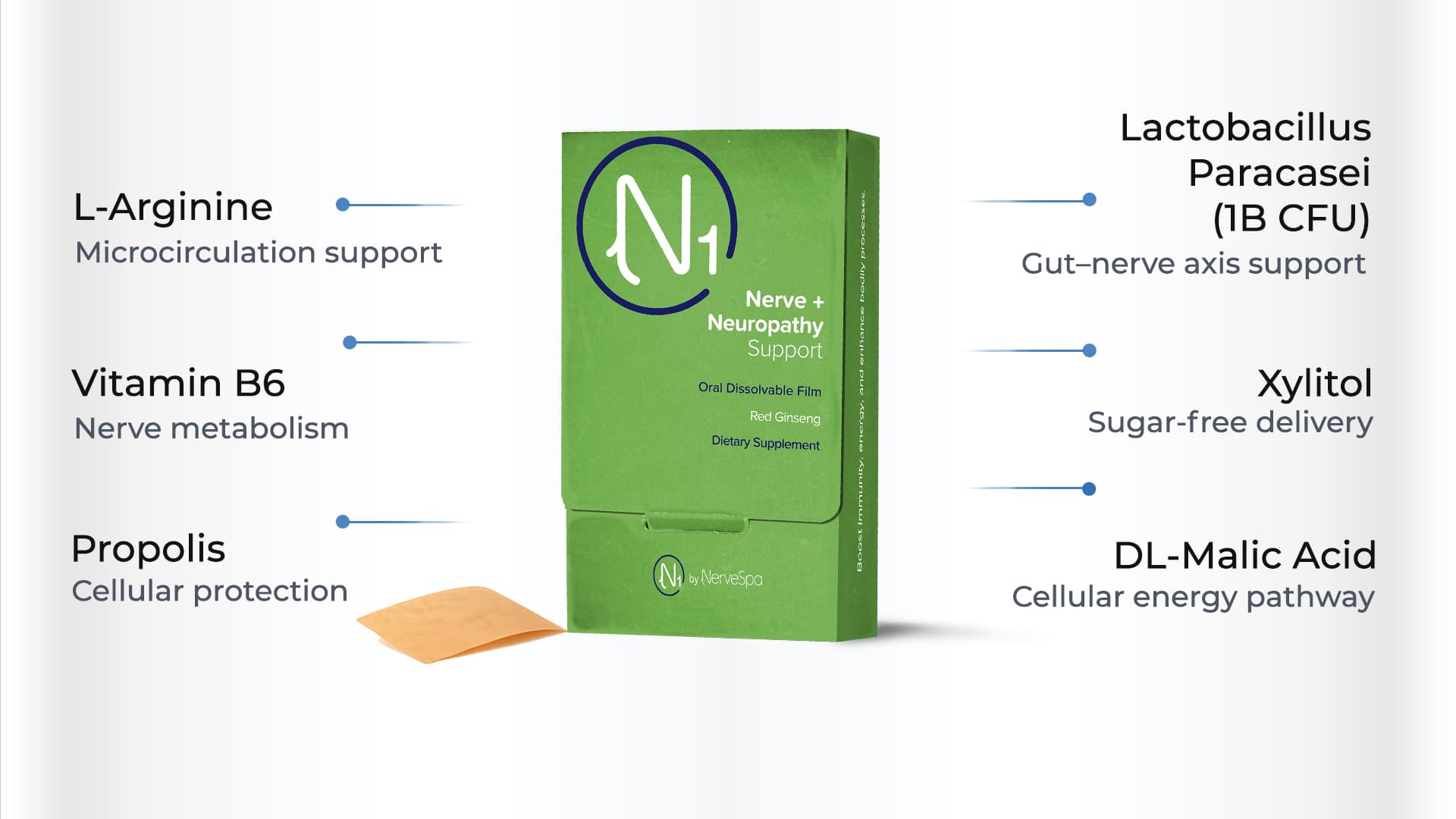 Nerve & Neuropathy ODF key ingredients infographic
