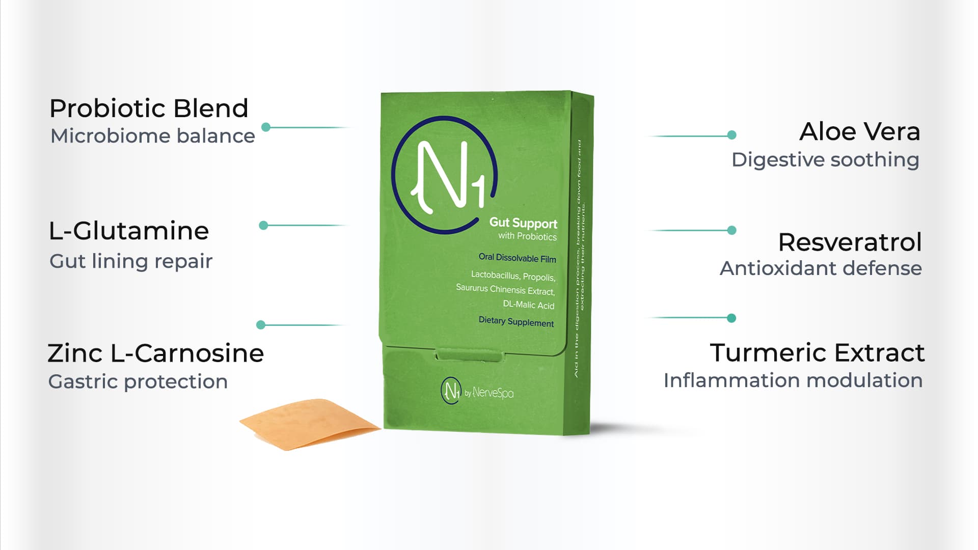 N1 Gut Support key ingredients infographic