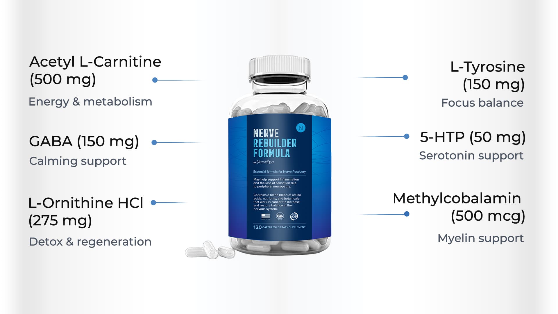 Nerve Rebuilder key ingredients infographic