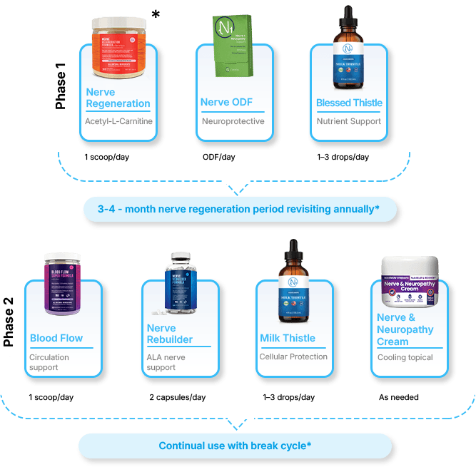 NerveSpa neuropathy supplement phases